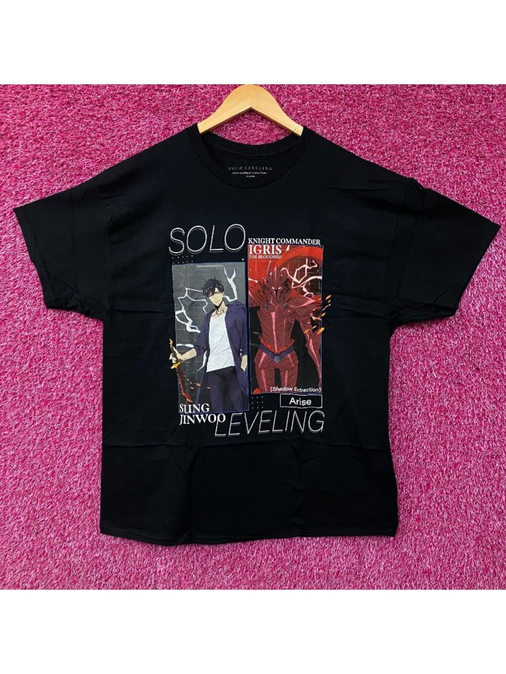 Solo Leveling Sung Jinwoo & Knight Commander Igris the Bloodred Anime Graphic T-